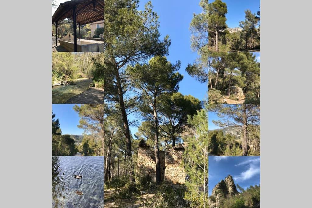 La Mansio Villa LʼIsle-sur-la-Sorgue Dış mekan fotoğraf