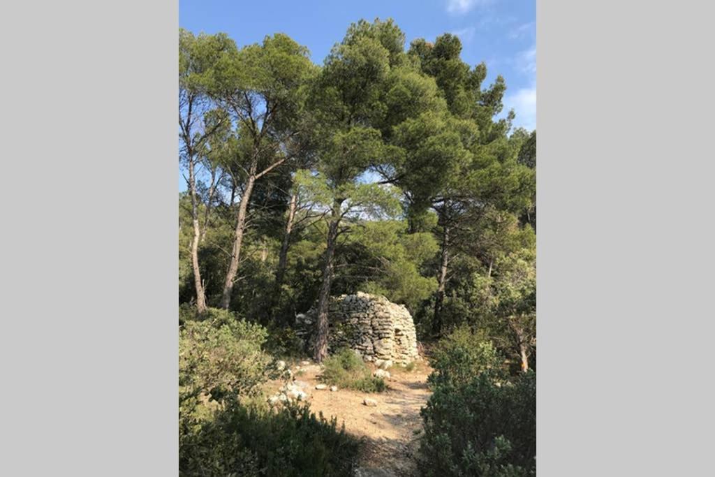 La Mansio Villa LʼIsle-sur-la-Sorgue Dış mekan fotoğraf